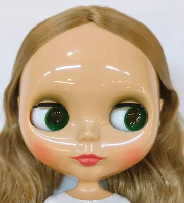 타카라토미 네오 브라이스 잔야리 멤버즈