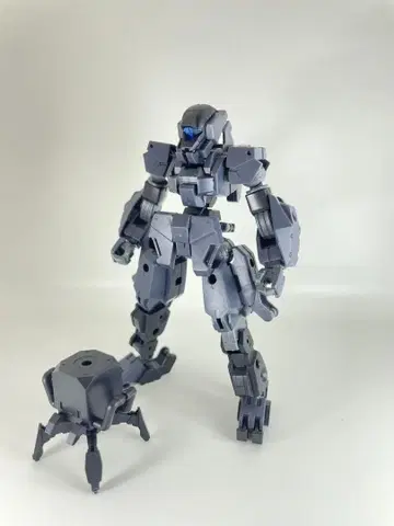 30MM 포레스티에리