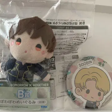 보들보들 봉제 인형 범규입니다