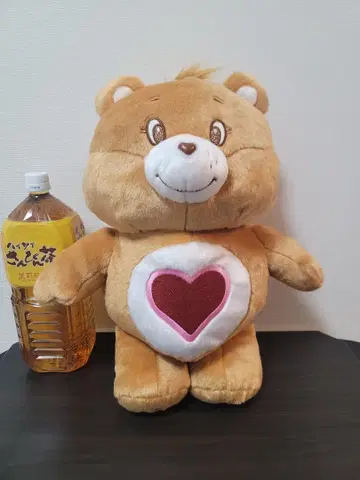 케어베어 반짝반짝 BIG 봉제 인형 3