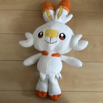 포켓몬 봉제 인형