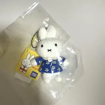옷 갈아입기 미피 생일 마스코트