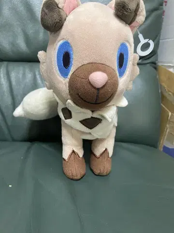 포켓몬 이완코 봉제 인형 포켓몬 센터