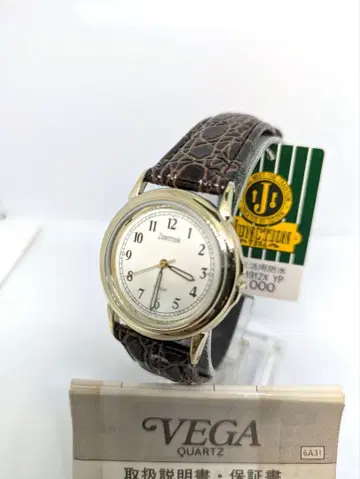 데드스탁 [CITIZEN VEGA] 6A31 작동 중