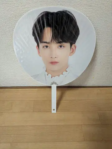 세븐틴 정한 부채 2020 WORLD TOUR
