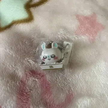 치이카와 쿠라스시 콜라보 모몽가 피규어