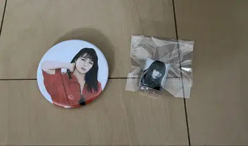 니시다 이토시 캔뱃지