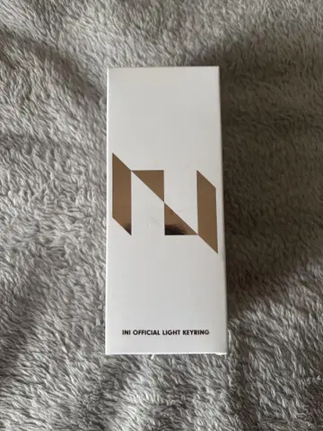 INI OFFICIAL LIGHT KEYRING 미니 펜라이트