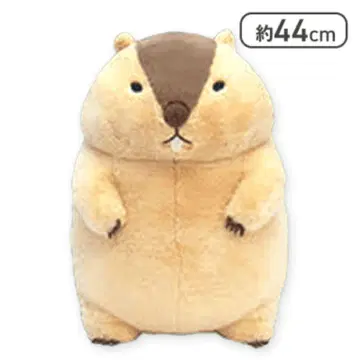 [하마모토] 마모트의 못톳토 울트라 BIG