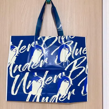 Eve under Blue 보니보니 특전 쇼핑백