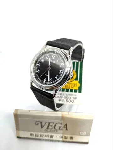 데드스탁 [CITIZEN VEGA] 6A31 작동 중