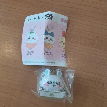치이카와  모몽가 이탈리안 티라미수