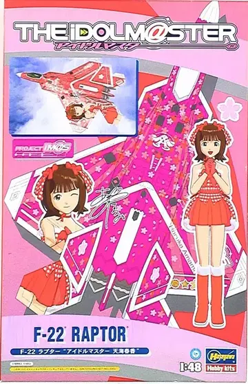 하세가와 1/48 F-22 랩터 아마미 하루카 SP271