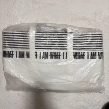 아타에 신지로 브랜드 IAMWHATIAM 가방