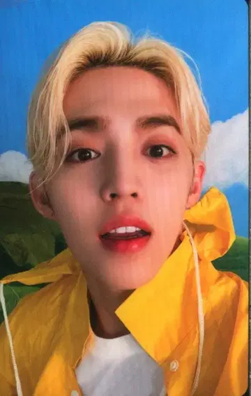 SEVENTEEN HEAVEN S.COUPS 트레이딩 카드 CARAT