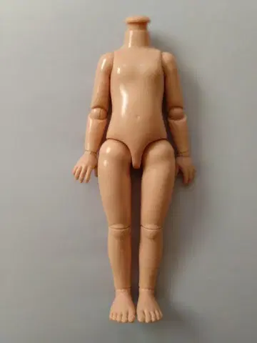 파올라돌 파올라레이나 가동 바디 커스텀 인형 부품 가동식 관절