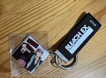 BLEACH 원화전 레코드 자켓 키체인 컬렉션 아산이 렌지
