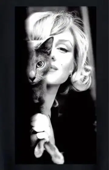 고양이 고양이 티셔츠 마릴린 먼로 마돈나 케이트 모스 DIVA 디바 블랙