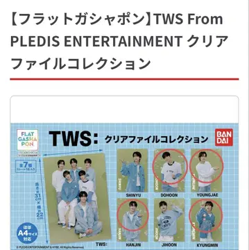 TWS 클리어 파일 컬렉션 4종 세트