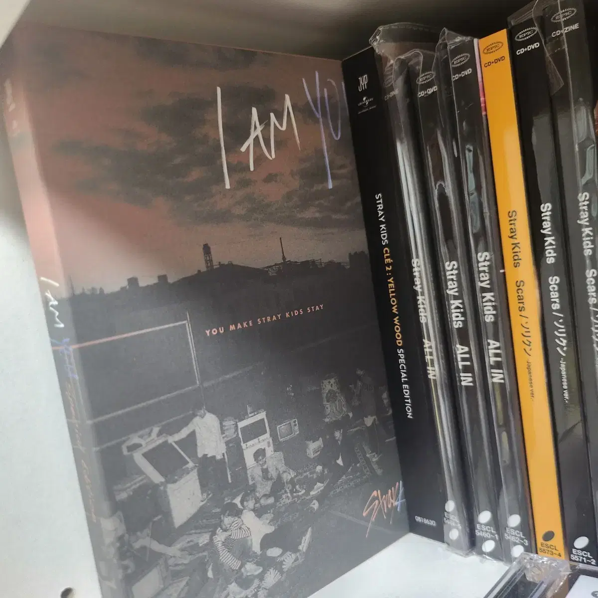 STRAY KIDS | 스트레이키즈 SKZ Special Edition Taiwan Vahn