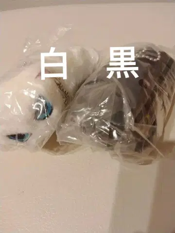 나츠카이 고양이 봉제 인형 2종 가챠 블랙 화이트