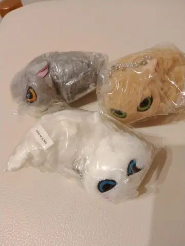 나츠카이 고양이 봉제 인형 세트 가챠 고양이
