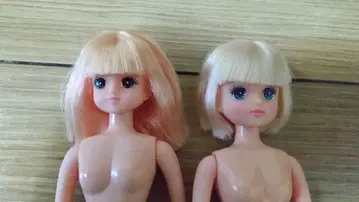 스위츠짱 아키짱 리카짱 캐슬 오타노시미 인형