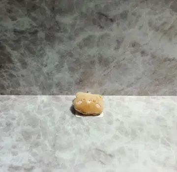(토끼 씨)