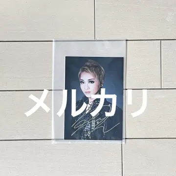 다카라즈카 성조 레이 마코토 하급생 사인 포함 스틸