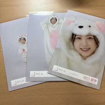 사쿠라자카46 동물 인형옷 브로마이드 타니구치 아이리