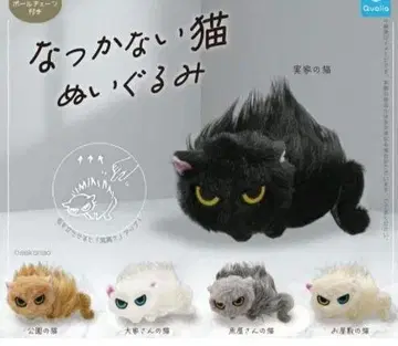 새침한 고양이 봉제 인형 컴플리트