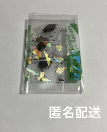 코미이로 페어 윈드브레이커 홀로