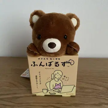 우리 고양이들, 곰 봉제 인형