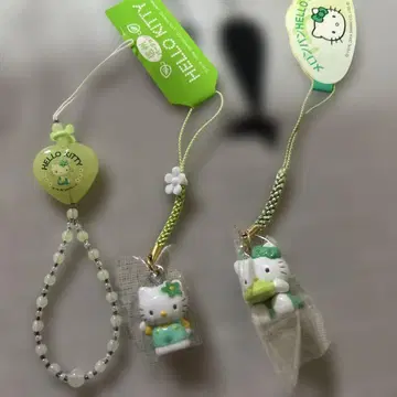 신슈 키티