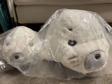소년 아시베 클라우드 펀딩 고마짱 봉제 인형 2개 세트