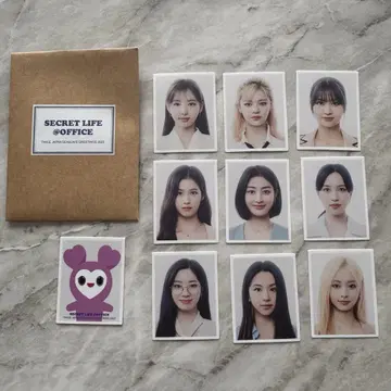 TWICE 시그리 증명 사진