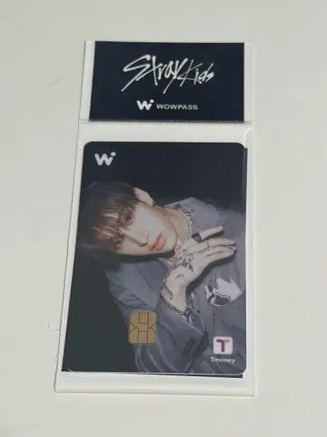 WOWPASS 방찬 스키즈
