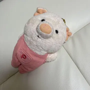 푸톤 릴 포함 패스 케이스