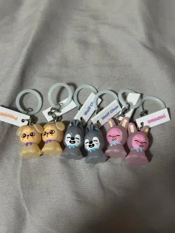 Straykids Skzoo 메지루시 액세서리 가챠가챠