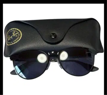 Ray-Ban 레이밴 ERIKA METAL EVOLVE