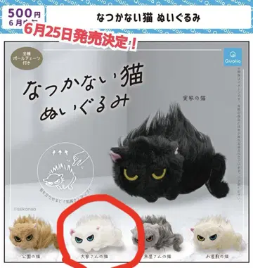 나츠카나이 고양이 화이트 고양이 집주인의 고양이