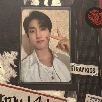 StrayKids IN생 Apple 한 트레이딩 카드