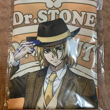 Dr.STONE 닥터 스톤 마루쿠지 다이쇼 로망 류스이 B2 천 포스터