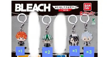 BLEACH 메지루시 액세서리