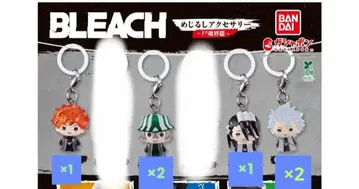 BLEACH 메지루시 액세서리