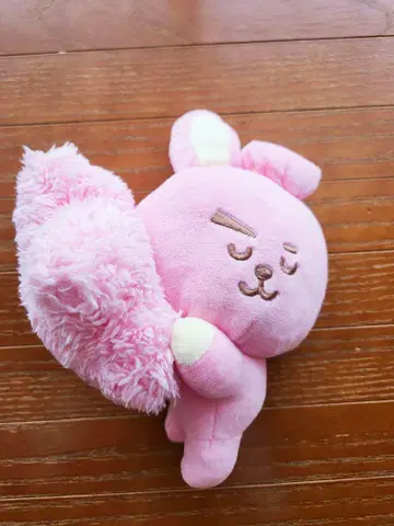 BTS BTS 쿠키 봉제 인형