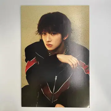 MAZZEL NAOYA 나오야 패널