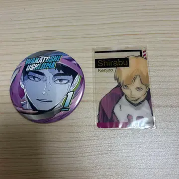 우시지마 와카토시와 시라후토 켄지로 하이큐