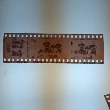 1994년 쟈니즈 야구 대회 네거티브 필름 미공개 카토 신고 외