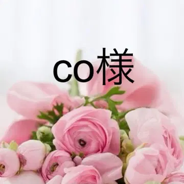 co 님 살로펫 38 블루